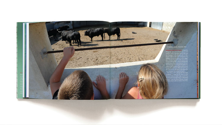 We Animals Book Design